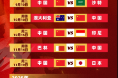 世预赛焦点战：德国队迎战北爱尔兰，维尔纳与麦克利什对决，战术解析与防守策略